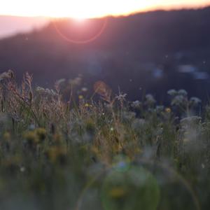 美女被❌❌羞羞的动态图在线观看
